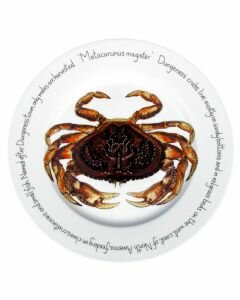 Dungeness Crab